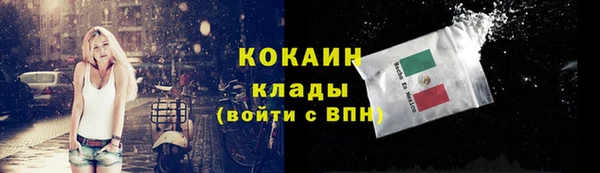 мдпв Тавда