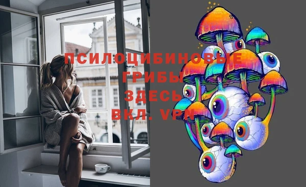 МДПВ Пролетарск