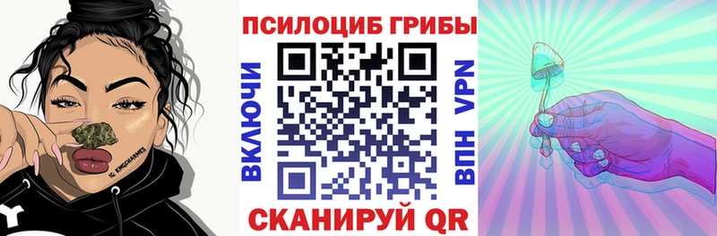 купить  сайты  Заинск  Галлюциногенные грибы Magic Shrooms 