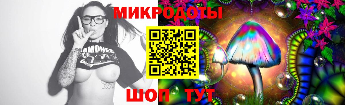 Заинск  закладки  Галлюциногенные грибы мицелий  Вход с VPN  Галлюциногенные грибы Psilocybine cubensis 