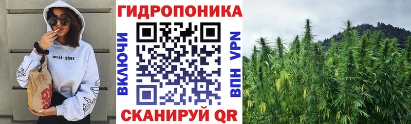 Каннабис индика Заинск